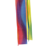 Maxbell 2pcs Rainbow Windsock Carp Flag Koinobori Wind Streamer Hanging Kite Decor