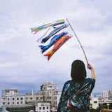 Maxbell 2pcs Rainbow Windsock Carp Flag Koinobori Wind Streamer Hanging Kite Decor
