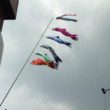Maxbell 2pcs Rainbow Windsock Carp Flag Koinobori Wind Streamer Hanging Kite Decor