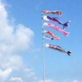 Maxbell 2pcs Rainbow Windsock Carp Flag Koinobori Wind Streamer Hanging Kite Decor