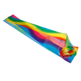 Maxbell 2pcs Rainbow Windsock Carp Flag Koinobori Wind Streamer Hanging Kite Decor