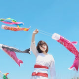 Maxbell 2x Rainbow Windsock Carp Flag Koinobori Wind Streamer Hanging Kite Decor