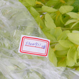 Maxbell 2Pcs Bunch Silk Hanging Plants Artificial Lilac Flower Garland Decor Green