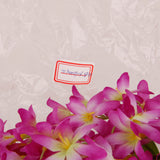 Maxbell 2Pcs Bunch Silk Hanging Plants Artificial Lilac Flower Garland  White