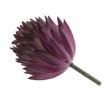 Maxbell Artificial Succulent Real Touch Echeveria Flower Foliage Plant Decor