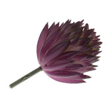 Maxbell Artificial Succulent Real Touch Echeveria Flower Foliage Plant Decor