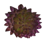 Maxbell Artificial Succulent Real Touch Echeveria Flower Foliage Plant Decor