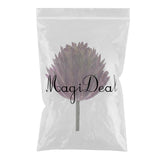 Maxbell Artificial Succulent Real Touch Echeveria Flower Foliage Plant Decor