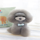 Maxbell Maxbell Cute Pet Dog Cat Pendant Necklace Bow Bowknot  Beads Bell Collar Blue