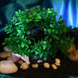 Maxbell Maxbell Water Ornament For Aquarium Artificial Water Plants Gate Shape Decor-Green