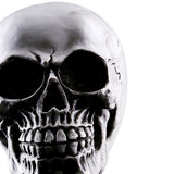 Maxbell Homosapiens Skull Statue Figurine Human Skeleton Head  Skeleton #2
