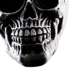 Maxbell Homosapiens Skull Statue Figurine Human Skeleton Head  Skeleton #2