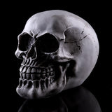 Maxbell Homosapiens Skull Statue Figurine Human Skeleton Head  Skeleton #2