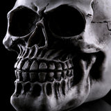Maxbell Homosapiens Skull Statue Figurine Human Skeleton Head  Skeleton #2