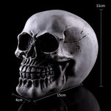 Maxbell Homosapiens Skull Statue Figurine Human Skeleton Head  Skeleton #2