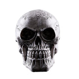 Maxbell Homosapiens Skull Statue Figurine Human Skeleton Head Medical Skeleton #3