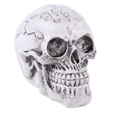 Maxbell Homosapiens Skull Statue Figurine Human Skeleton Head Medical Skeleton #3