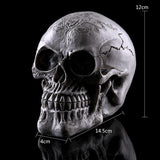Maxbell Homosapiens Skull Statue Figurine Human Skeleton Head Medical Skeleton #3