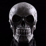 Maxbell Homosapiens Skull Statue Figurine Human Skeleton Head Medical Skeleton #3