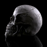 Maxbell Homosapiens Skull Statue Figurine Human Skeleton Head Medical Skeleton #3