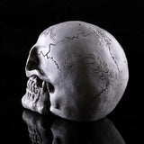 Maxbell Homosapiens Skull Statue Figurine Human Skeleton Head Medical Skeleton #3