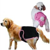 Maxbell Maxbell Female Pet Dog Puppy Physiological Sanitary Pant Diaper Underwear Black L