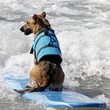 Maxbell Maxbell Dog Aquatic Reflective Preserver Safety Float Vest Saver Life Jacket Blue S