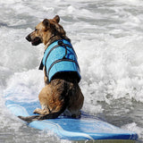 Maxbell Maxbell Dog Aquatic Reflective Preserver Safety Float Vest Saver Life Jacket Blue XL