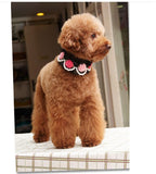 Maxbell Maxbell Pet Dog Cat Puppy Imitation Pearls Necklace Flower Lace Collar Belt Black S