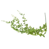 Artificial Foliage Succulent Senecio Radicans Plant Weddin Party Vivid Decor