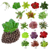 Artificial Foliage Succulent Senecio Radicans Plant Weddin Party Vivid Decor