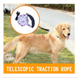 Maxbell Maxbell Pet Dog Automatic Lead Leash Retractable Walking Lead 5M Butterfly