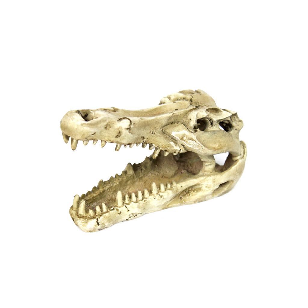 Maxbell Maxbell Reptile,Snake,Turtle,Vivarium Rock,Caves,Aquarium Ornament Crocodile Skull