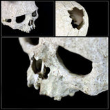 Maxbell Maxbell Reptile,Snake,Turtle,Vivarium Rock,Caves,Decor Aquarium Ornament Human Skull