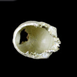 Maxbell Maxbell Reptile,Snake,Turtle,Vivarium Rock,Caves,Decor Aquarium Ornament Human Skull