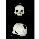 Maxbell Maxbell Reptile,Snake,Turtle,Vivarium Rock,Caves,Decor Aquarium Ornament Human Skull