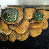 Maxbell Maxbell Artificial Resin Rock Floating Island Reptile Play Plat Terrarium Decor