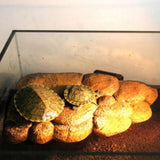 Maxbell Maxbell Artificial Resin Rock Floating Island Reptile Play Plat Terrarium Decor