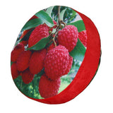 3D Fruit Print Cushion Home Chair Car Seat Back Pad Sofa Throw Pillow-Litchi