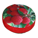 3D Fruit Print Cushion Home Chair Car Seat Back Pad Sofa Throw Pillow-Litchi