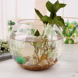 Maxbell Maxbell Round Transparent Crystal Glass Bowl Clear Sphere Vase Fish Tank Water