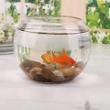 Maxbell Maxbell Round Transparent Crystal Glass Bowl Clear Sphere Vase Fish Tank Water
