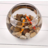 Maxbell Maxbell Round Transparent Crystal Glass Bowl Clear Sphere Vase Fish Tank Water