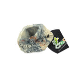 Maxbell Maxbell Reptile Feeding Bowl Food Water Resin Dish Pet Vivarium Tortoise Gecko #1