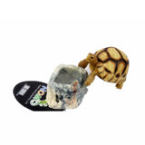 Maxbell Maxbell Reptile Feeding Bowl Food Water Resin Dish Pet Vivarium Tortoise Gecko #1