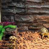 Maxbell Maxbell Reptile Feeding Bowl Food Water Resin Dish Pet Vivarium Tortoise Gecko #3