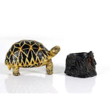 Maxbell Maxbell Reptile Feeding Bowl Food Water Resin Dish Pet Vivarium Tortoise Gecko #16