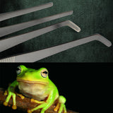 Maxbell Maxbell 20cm Stainless Steel Tweezers Pet Insects Gardening Straight Feeding Tool