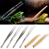 Maxbell Maxbell 20cm Stainless Steel Tweezers Pet Insects Gardening Straight Feeding Tool