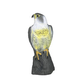 Maxbell Falcon Decoy Garden Bird Rodent Deter Scarer Weed Pest Control Scarecrow
